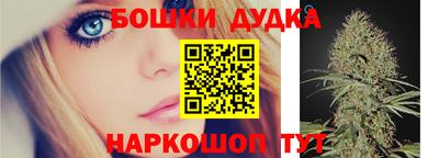 спиды Гатчина