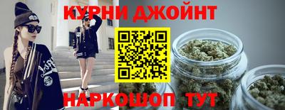 спиды Гатчина