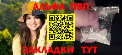 спиды Гатчина
